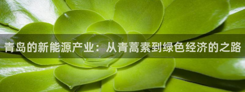 sunbet最新消息