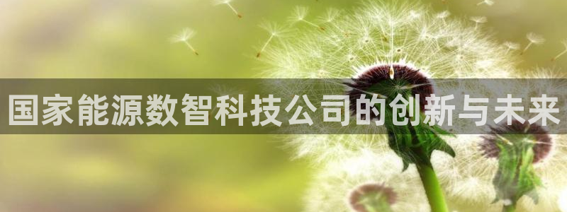 sunbet手机网页版