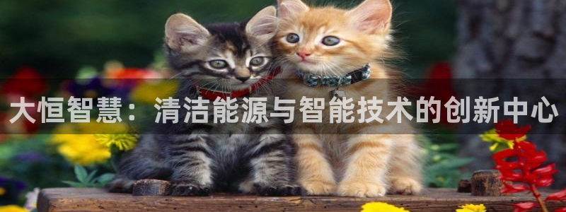 sunbet燃气灶