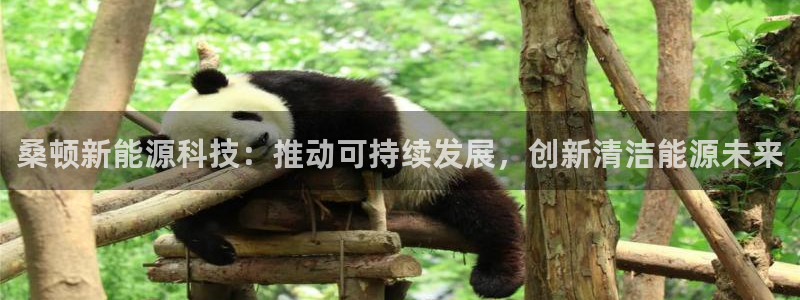 sunbet游戏最新版