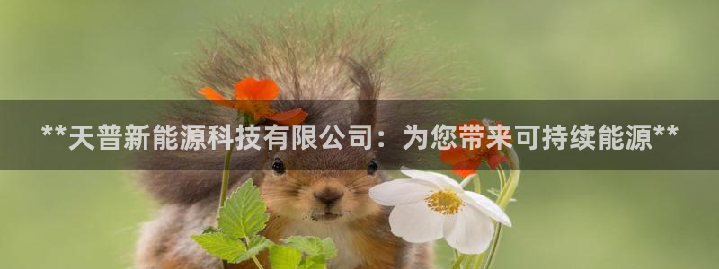 sunbet手机网页版本