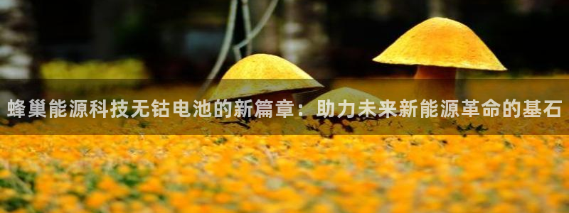 sunbet官网手机版登录