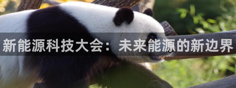 申博手机版官网