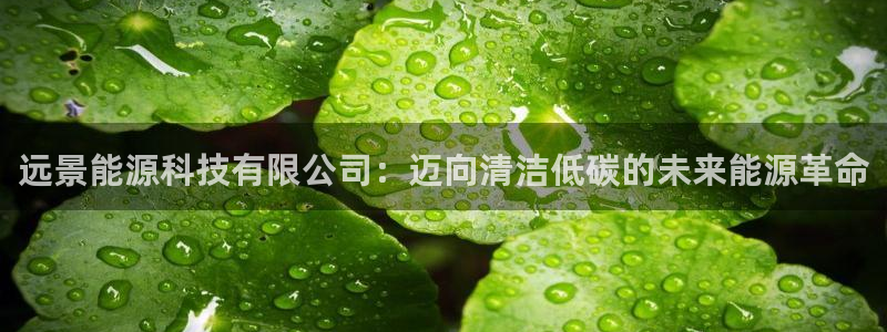 进入sunbet官网手机版登陆