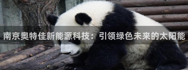 sunbet官网登录首页